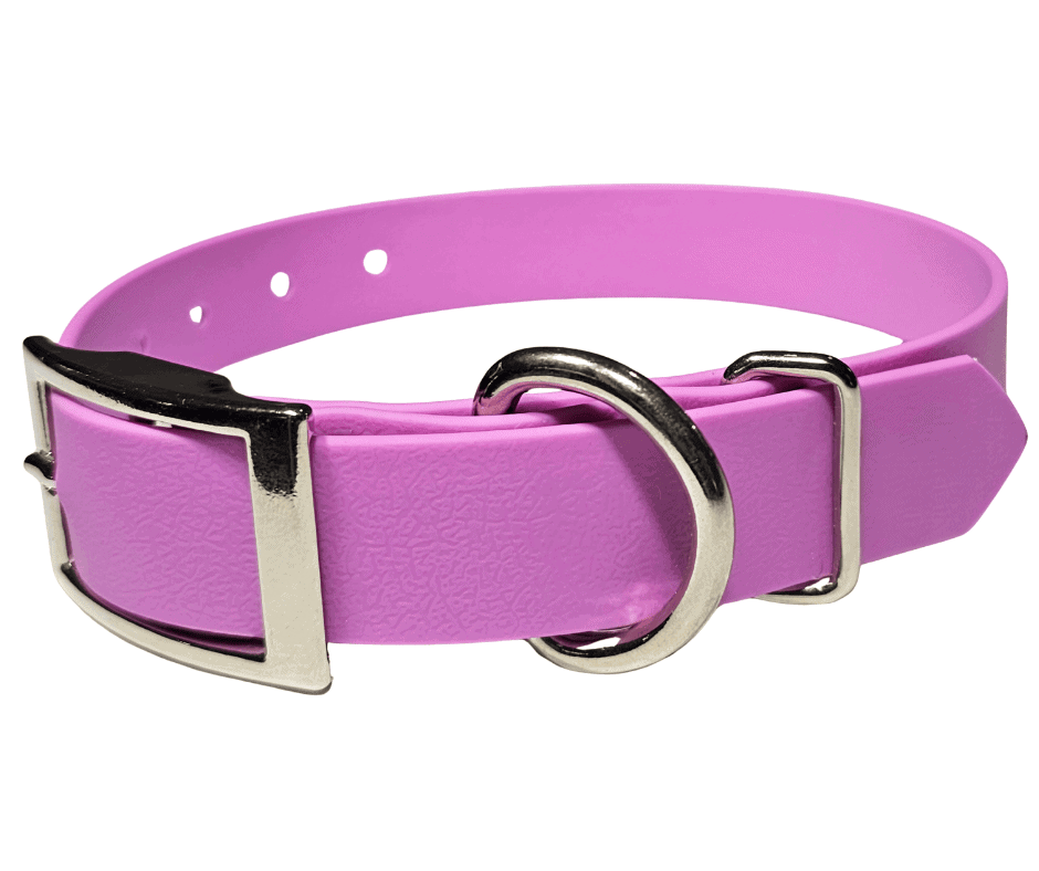 Pink working dog collar with metal buckle and D-ring for training and control.