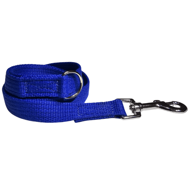 Blue dog lead made of durable webbing with metal clip and ring.