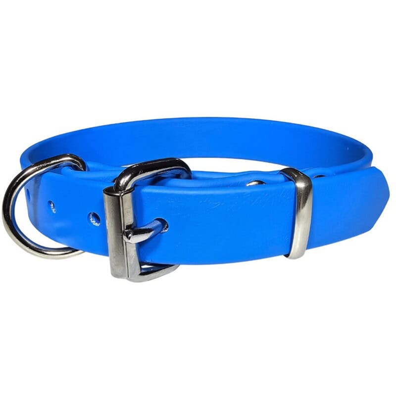 Biothane working dog collar in cyan blue