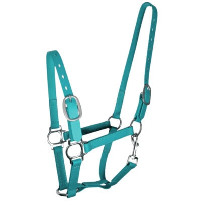 Horse halter biothane quick release 20mm in teal colour