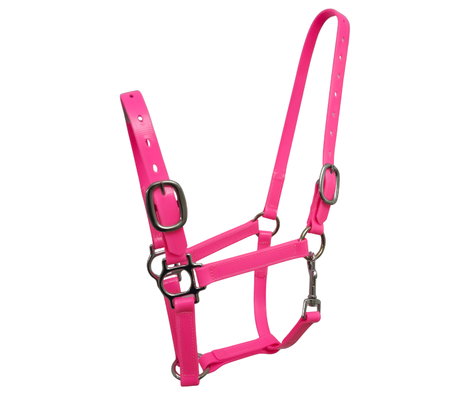 horse halter pvc quick release 20mm