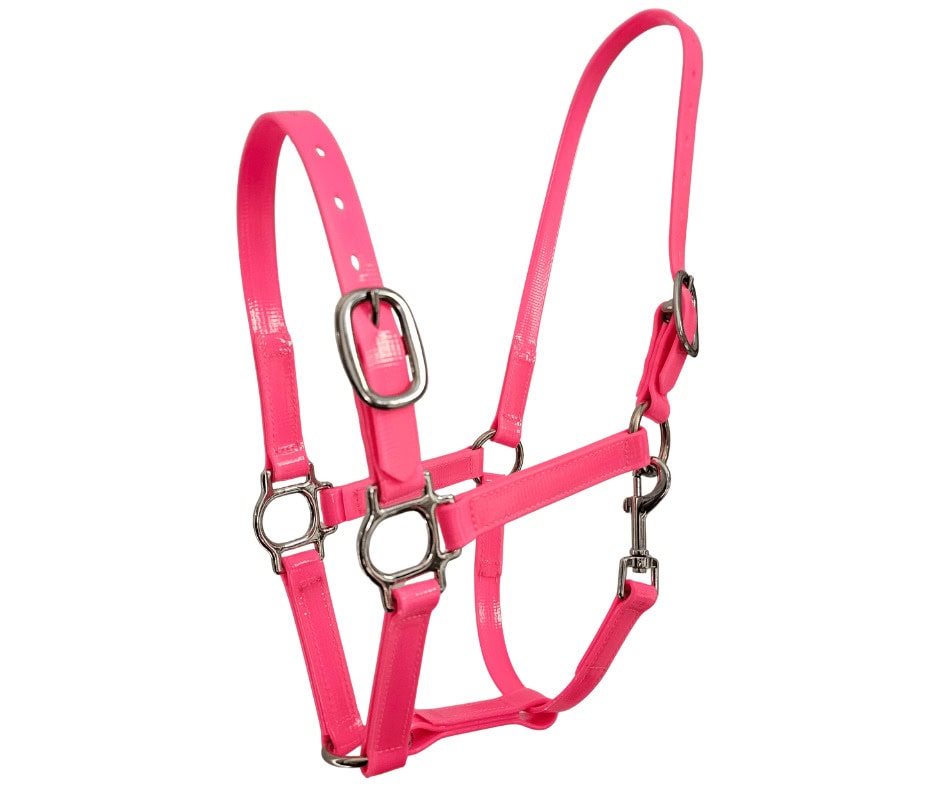 horse halter pvc quick release 20mm pink