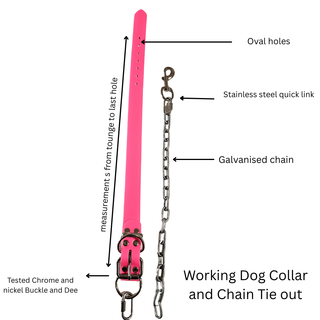 Pink working dog collar with chain and quick link for tie out.