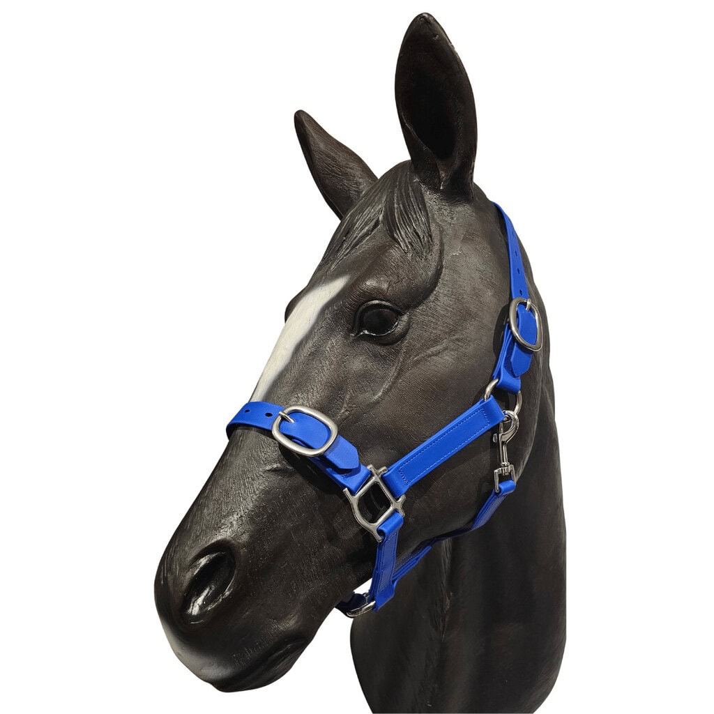 Blur biothane horse halter