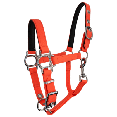 Miniature Horse Halter PVC TPU Quick Release Neon Orange