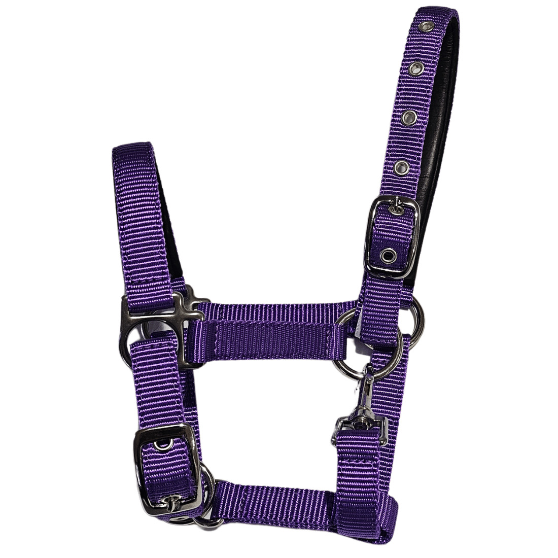 Purple miniature horse halter with quick release buckles and metal fittings.