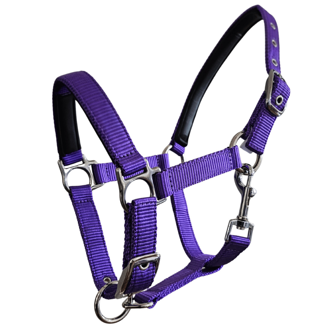 Purple horse halter with quick release buckles and metal fittings.