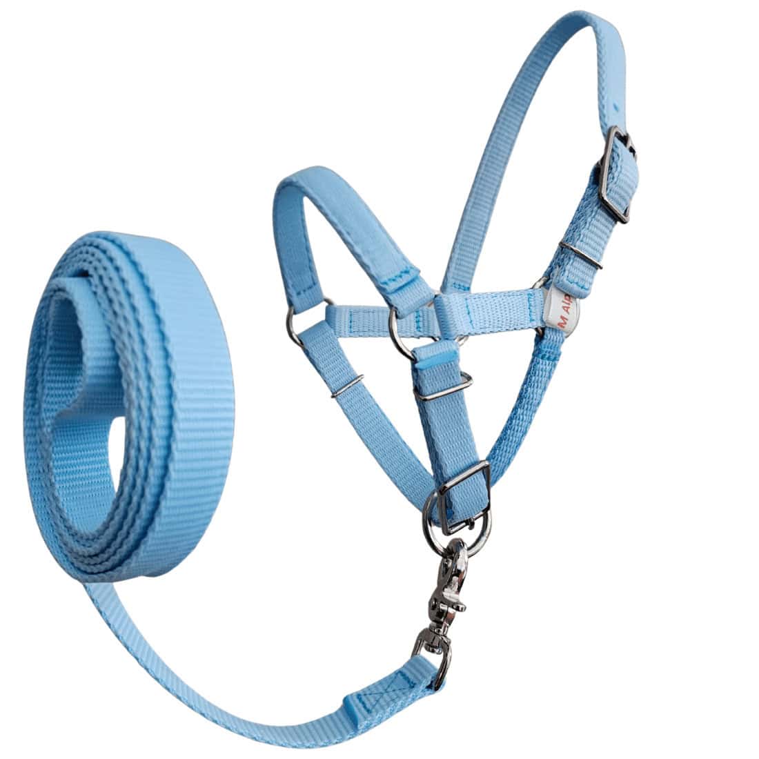 Alpaca halter lead set in light blue, training alpaca halter