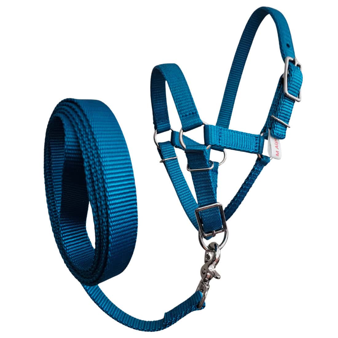 Alpaca halter and lead set, training alpaca halter