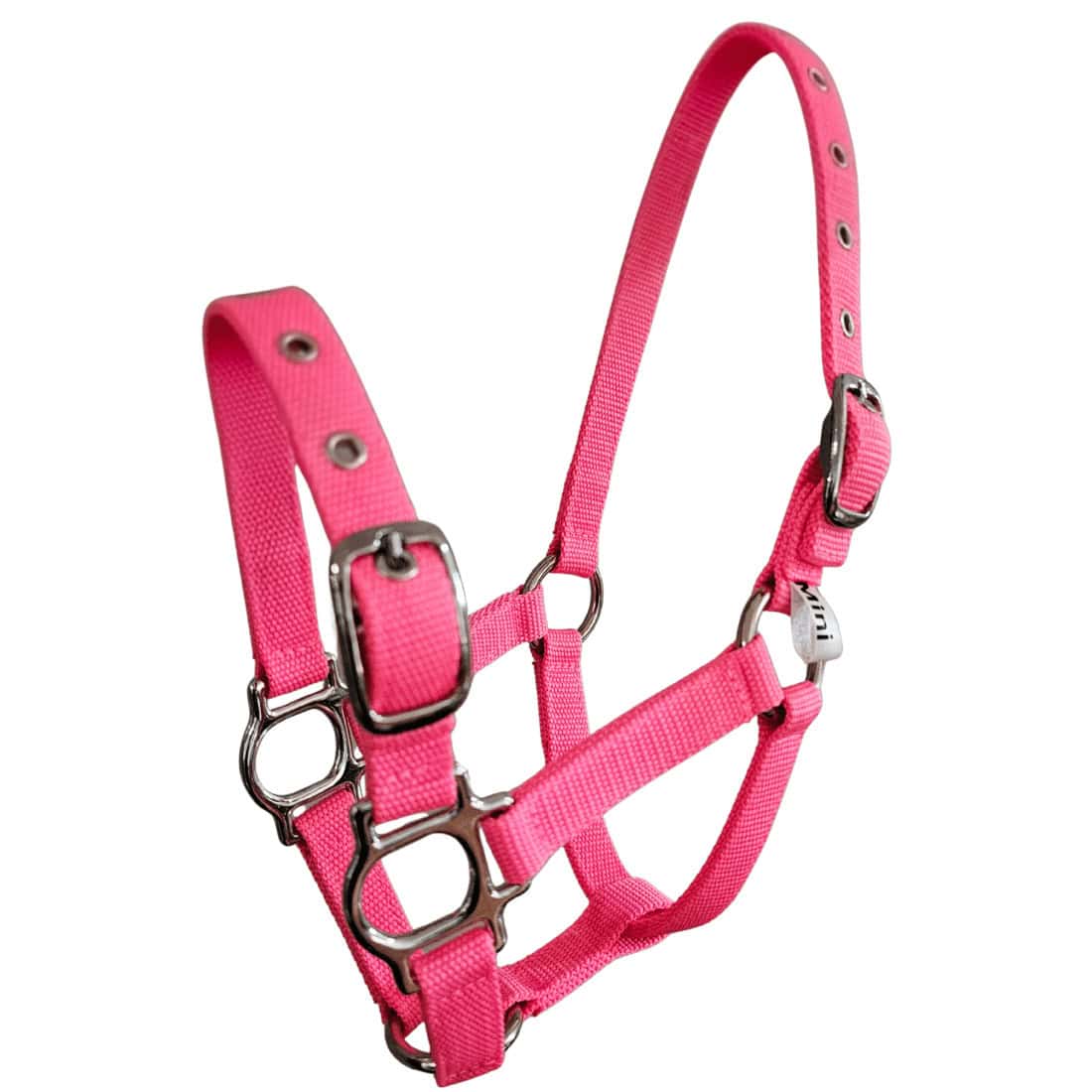 Mini Horse Halter Webbing - Image 2