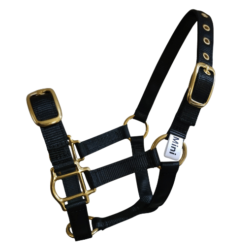 miniature horse halter small size black brass buckles