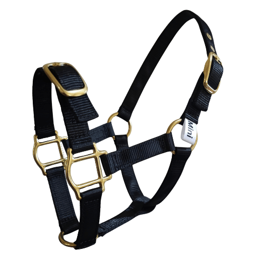 Miniature horse halter small in black with brass buckles