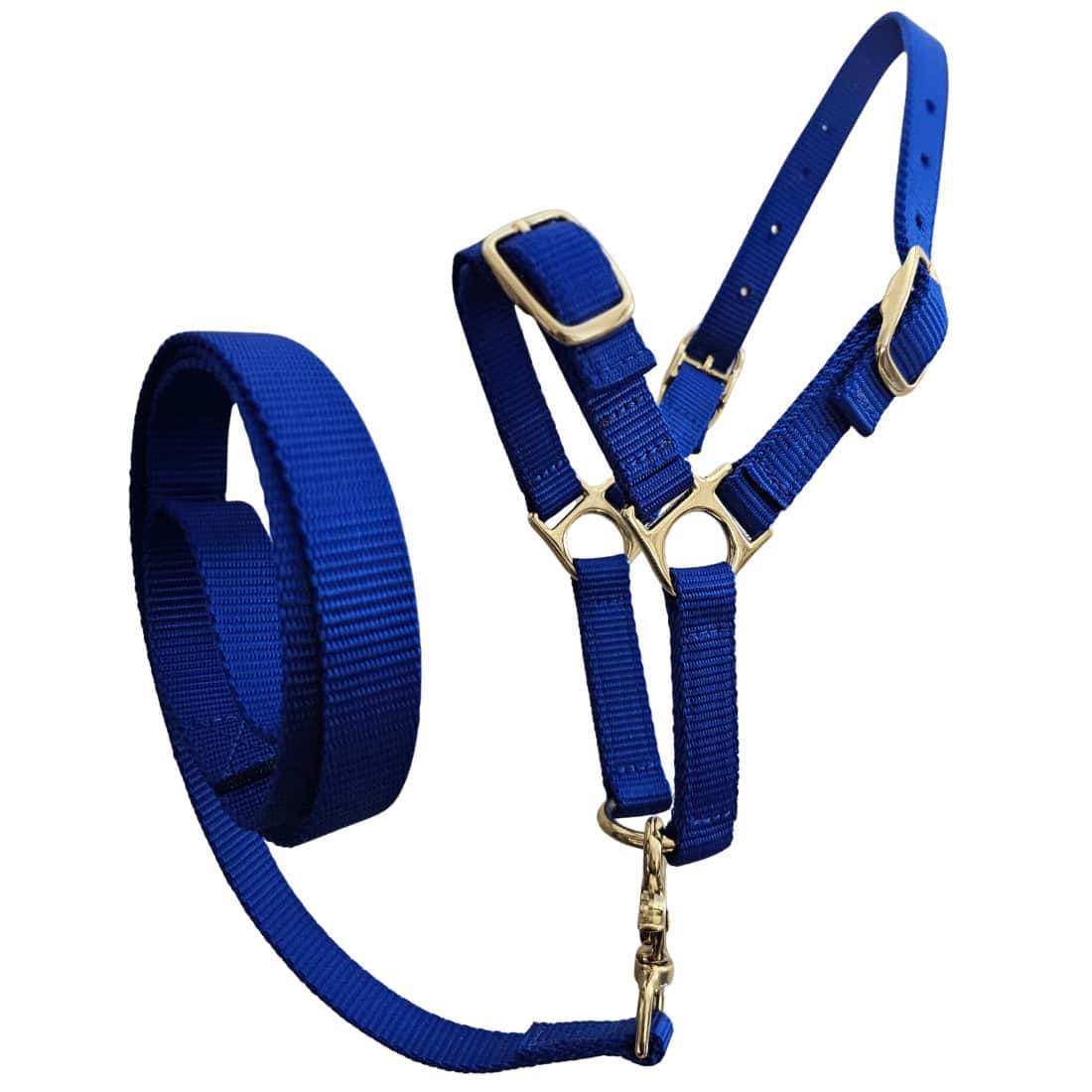 Sheep halter and lead set, training sheep halter, show sheep halter and lead