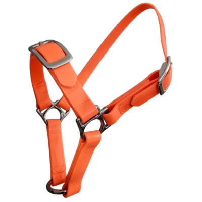 Sheep halter training pvc, training sheep halter, show sheep halter