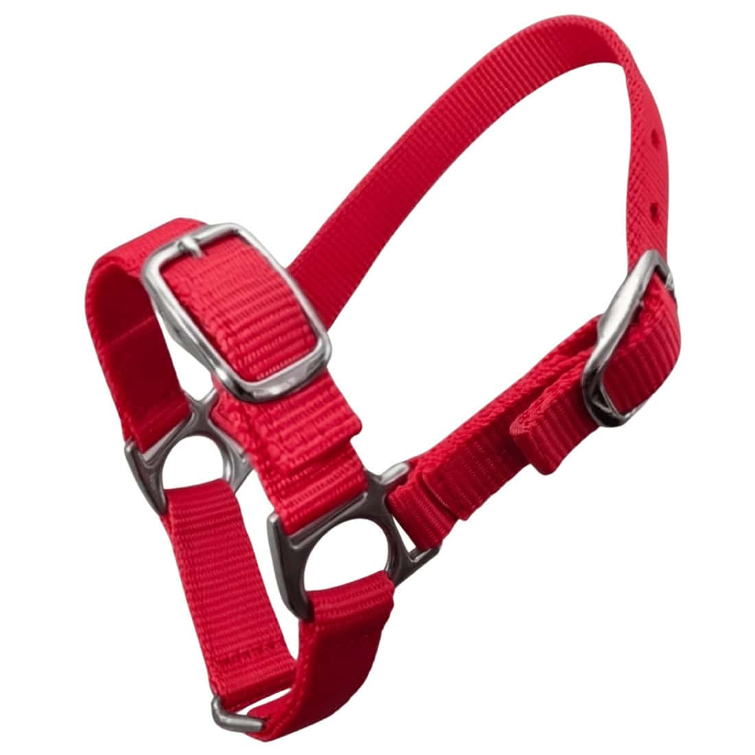 Lamb / Baby doll sheep halter red