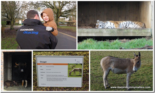 ZSL Whipsnade Zoo