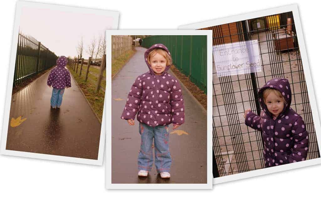 Collages11