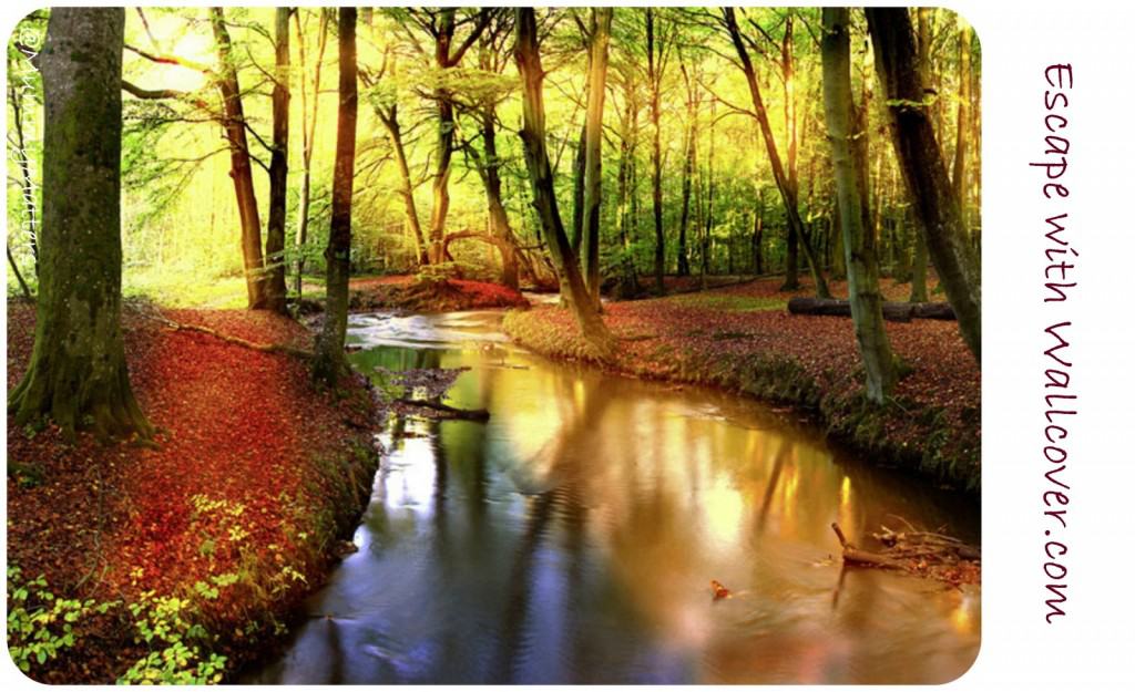 Bring your walls to life with Wallcover Bring your walls to life with Wallcover