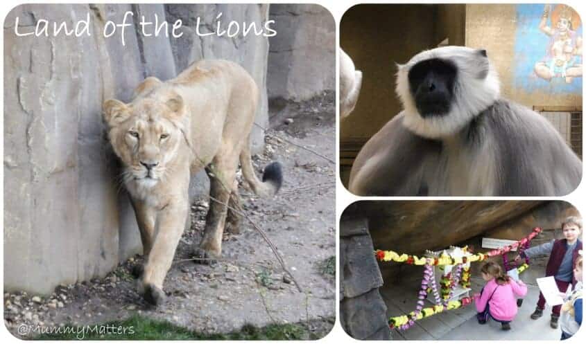 #LandoftheLions