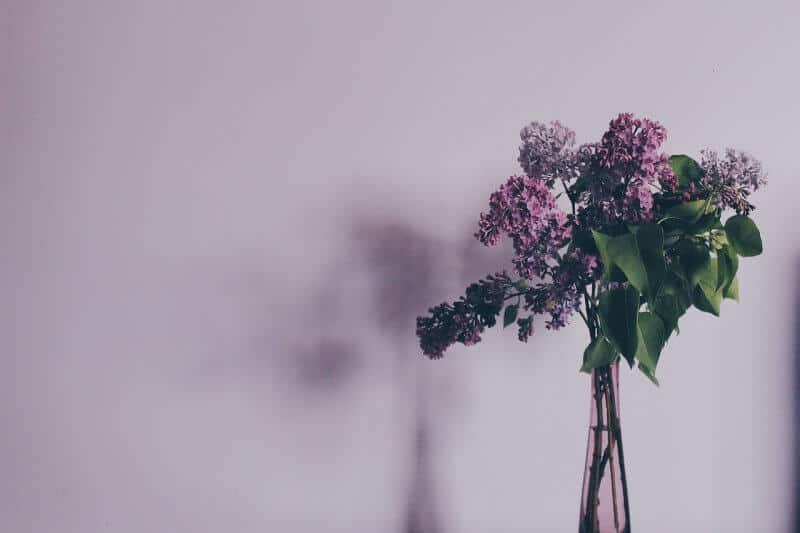 fresh flowers