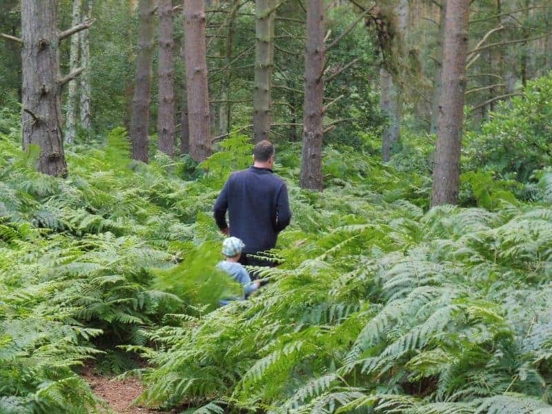 Sandringham Camping & Caravanning Club Site