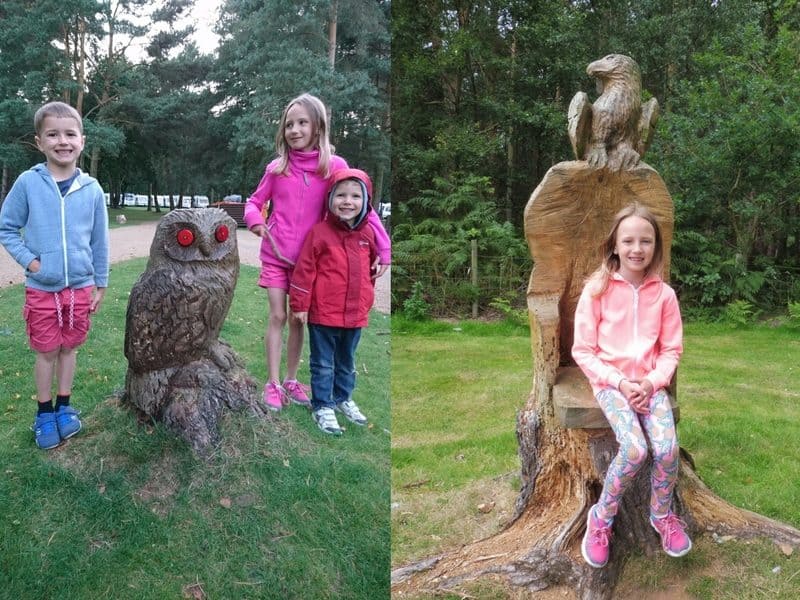 Sandringham Camping & Caravanning Club Site