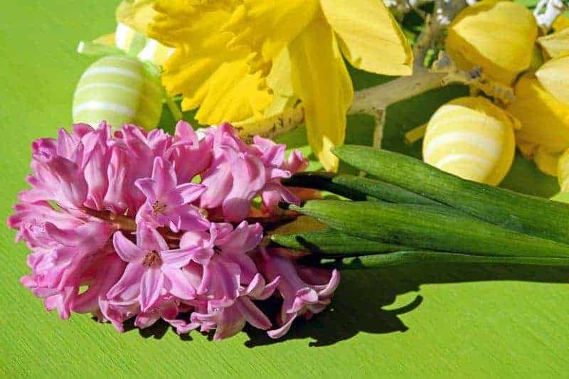 Easter flowers