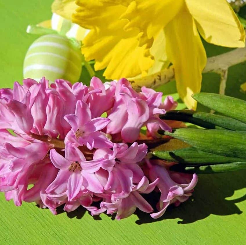 Easter flowers