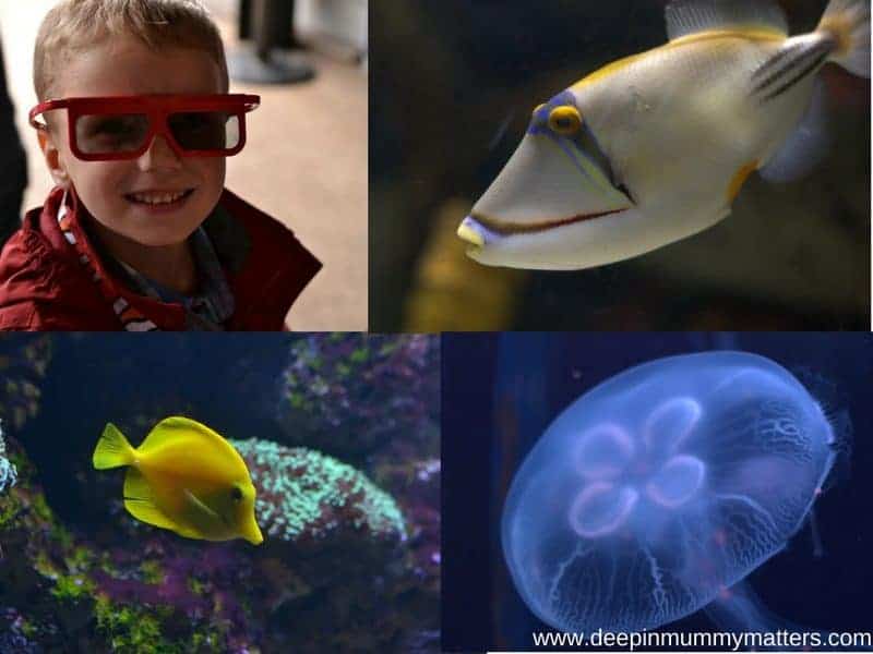 Sea Life Centre Birmingham