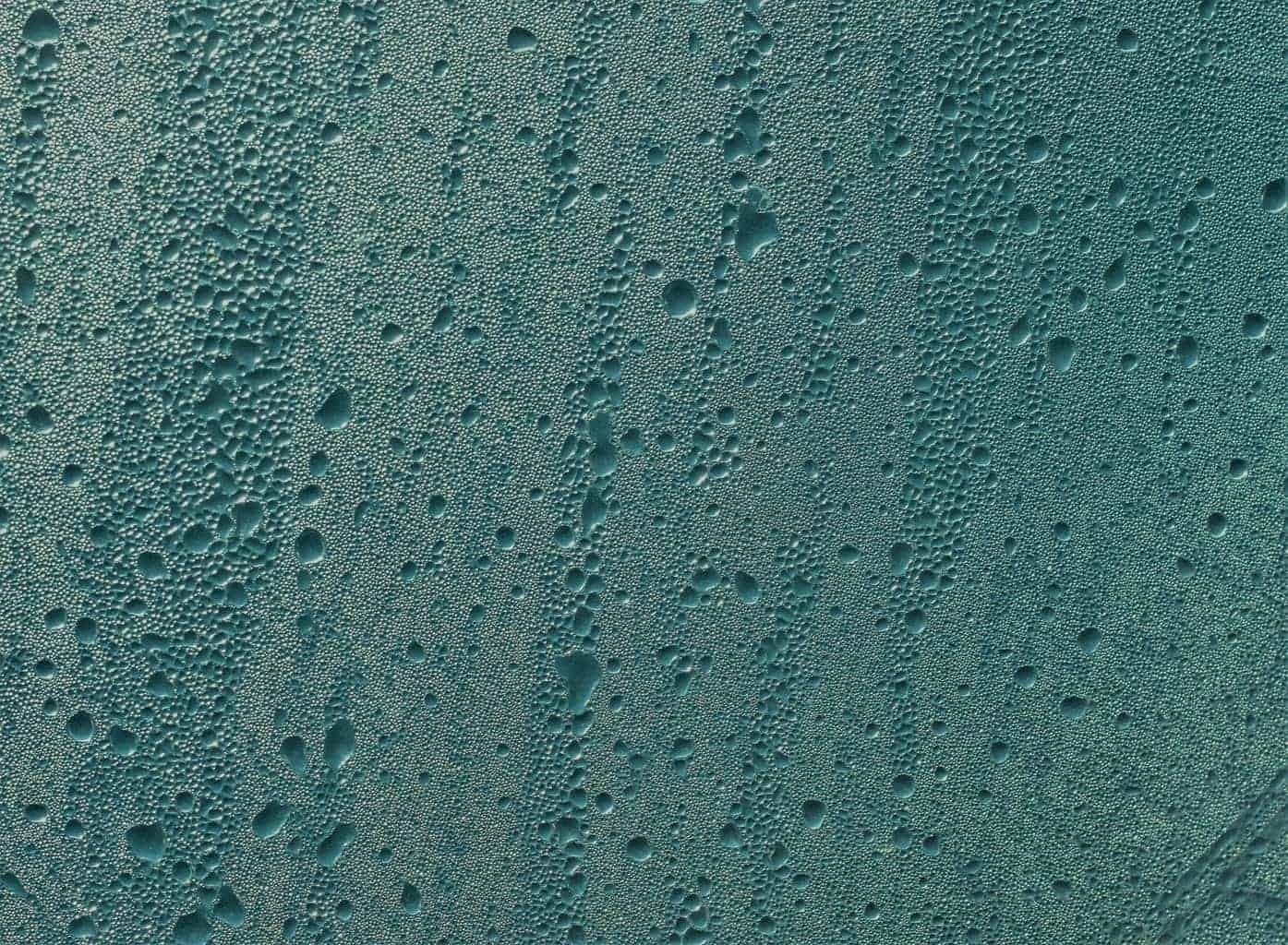 Steam Shower