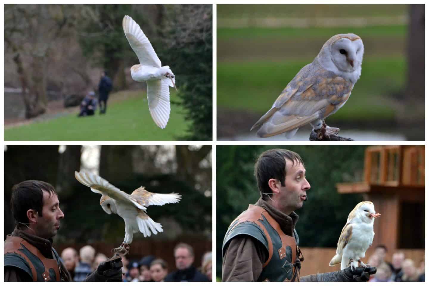 Warwick Castle