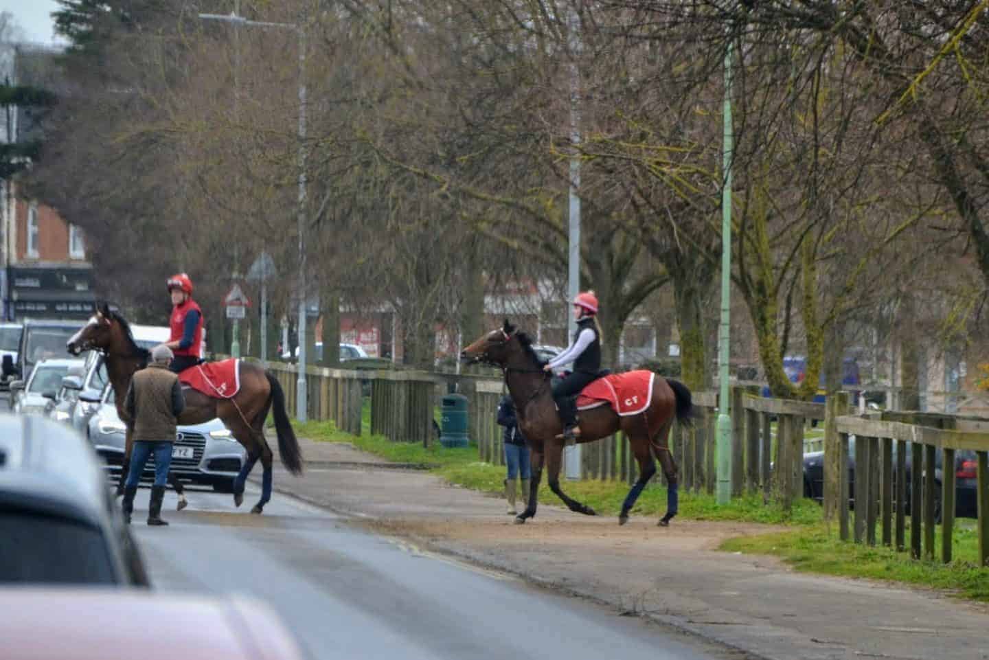 Discover Newmarket