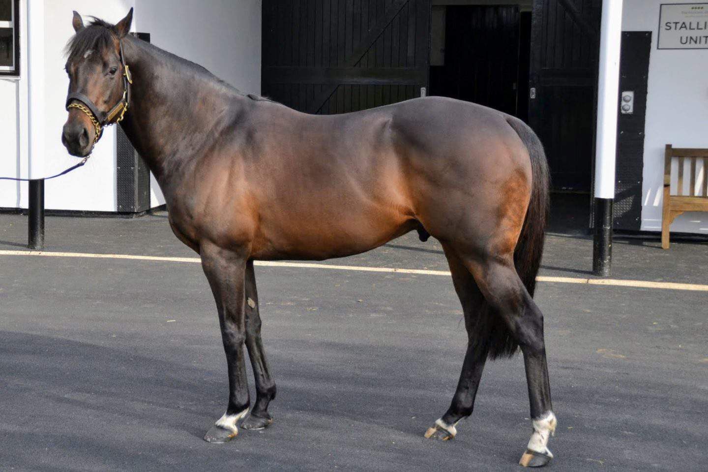 Discover Newmarket