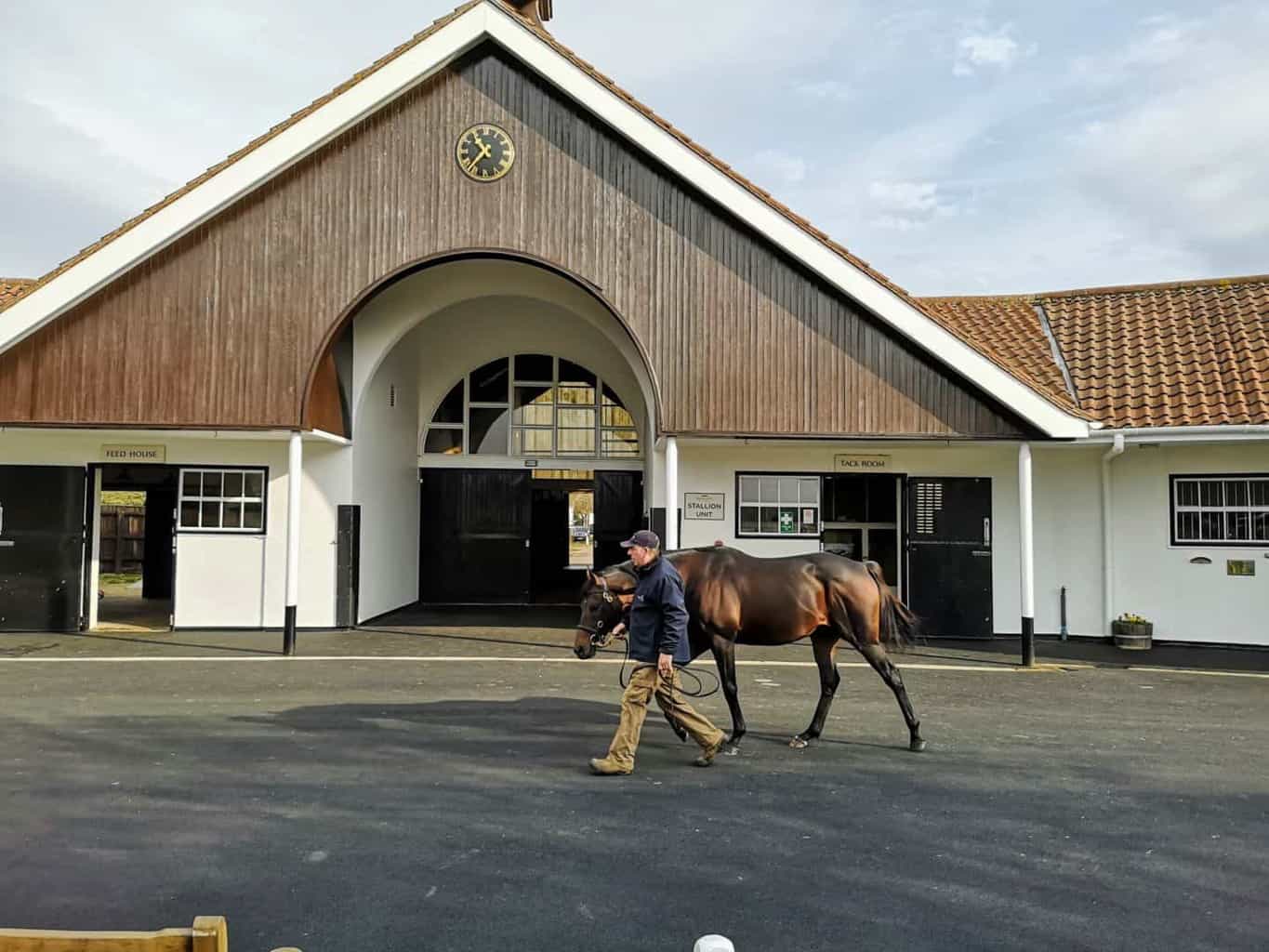 Discover Newmarket