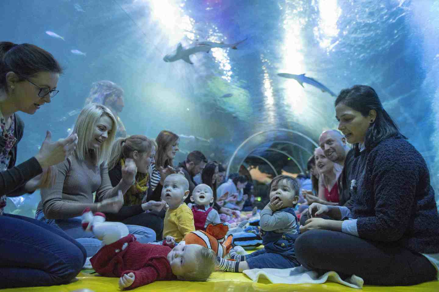 baby sensory at Sealife