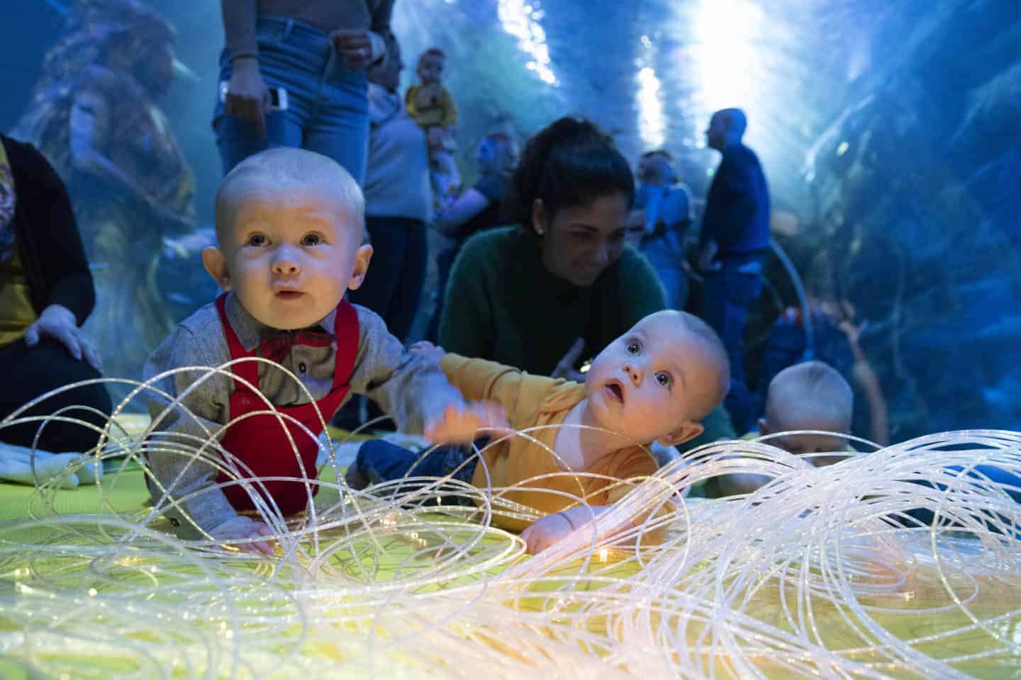 Sea Life Baby Sensory