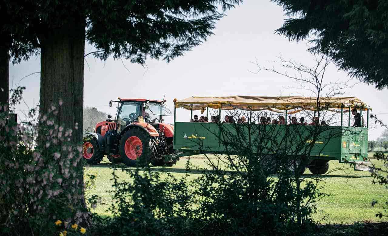 What's new at Countryside Lincs?