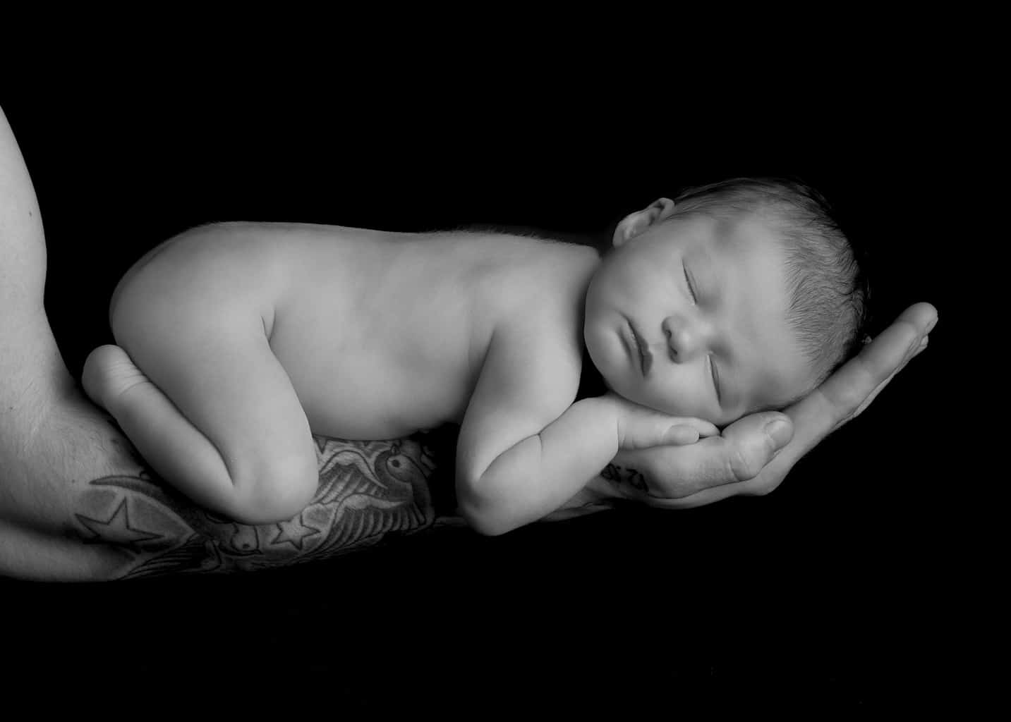 Dan Newberry Photography