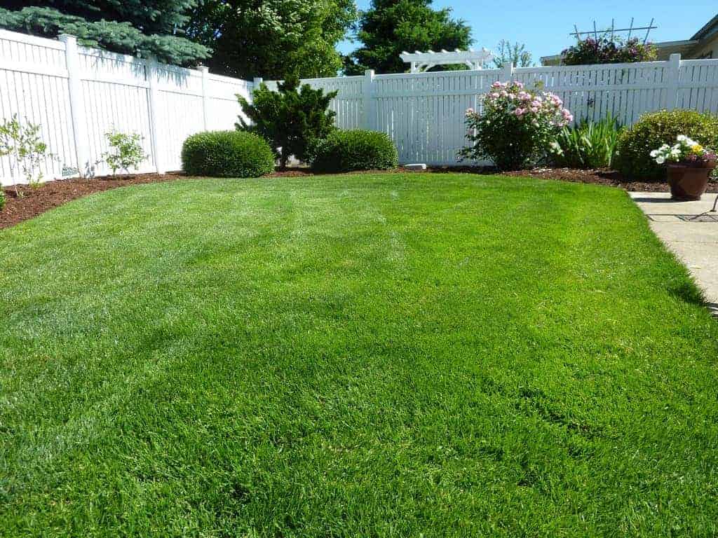 Artificial Grass
