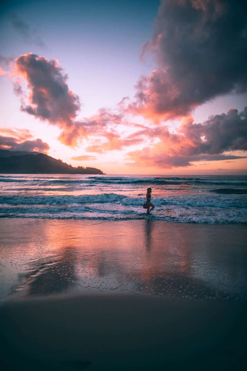 pexels photo 2559920 1