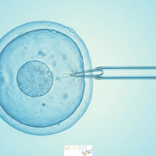 Step-by-Step Guide to Fertility Treatment