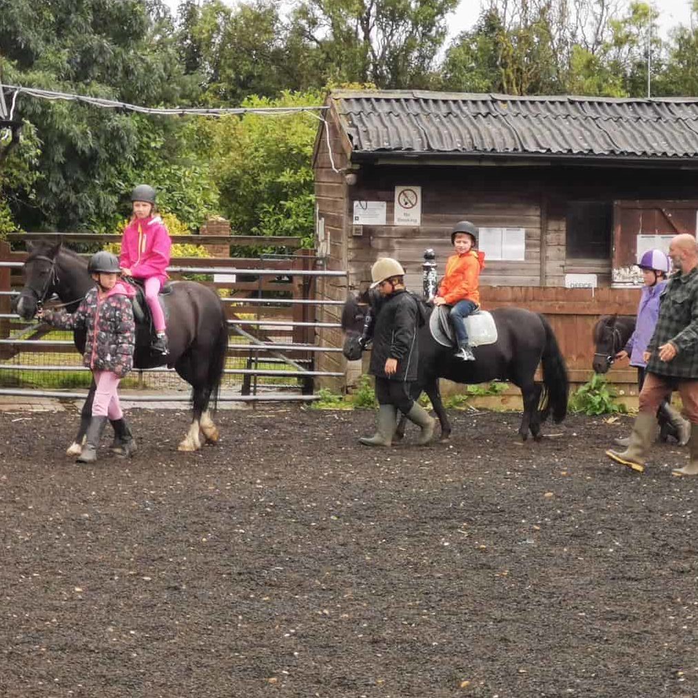 Horse Riding Lessons