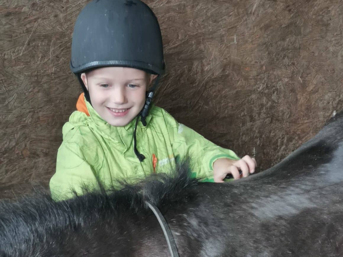 Horse Riding Lessons