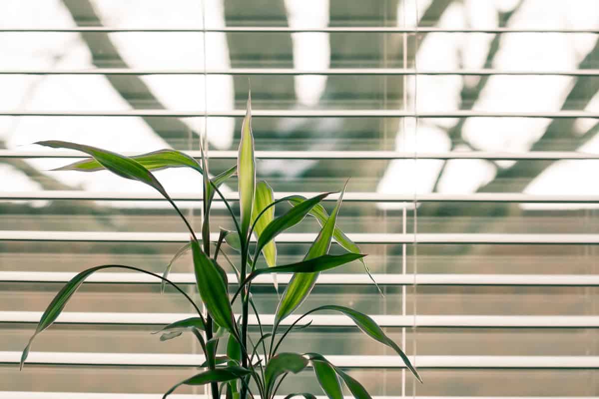 Perfect Fit Blinds