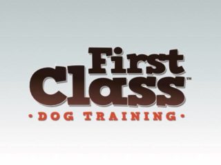 First Class Dog Training First Class Dog Training