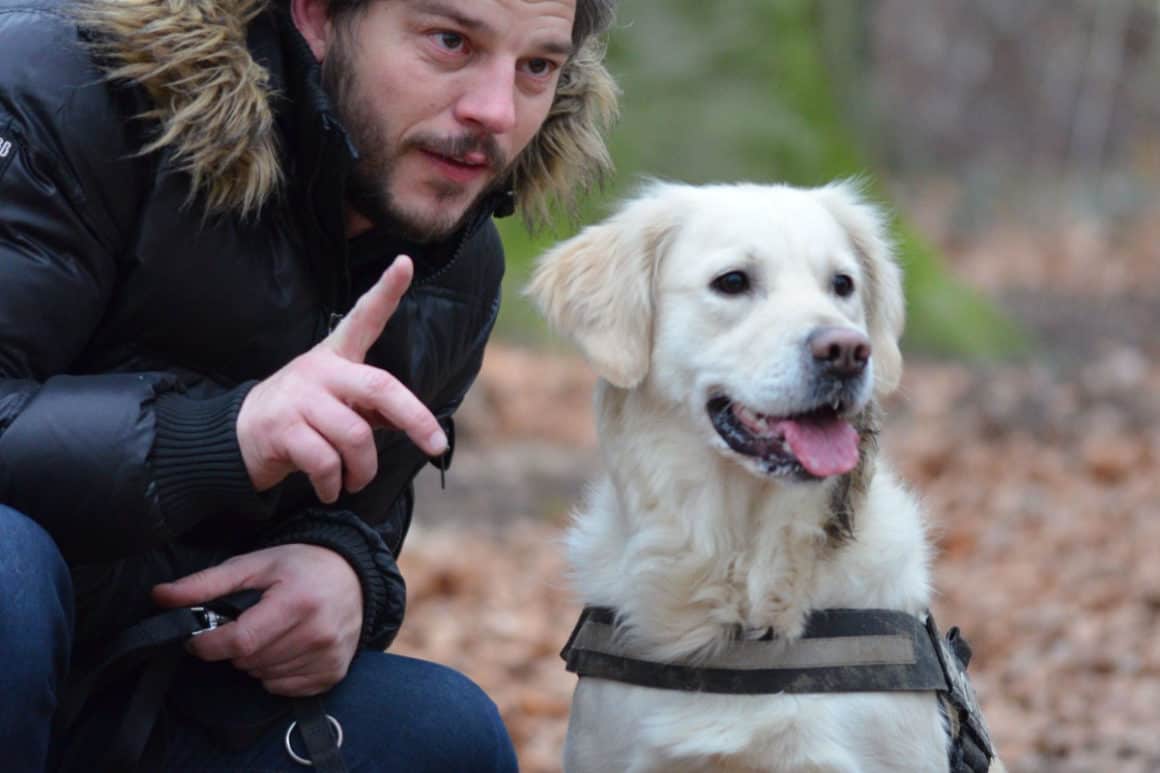 choosing a dog