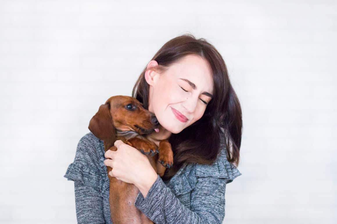 choosing a dog