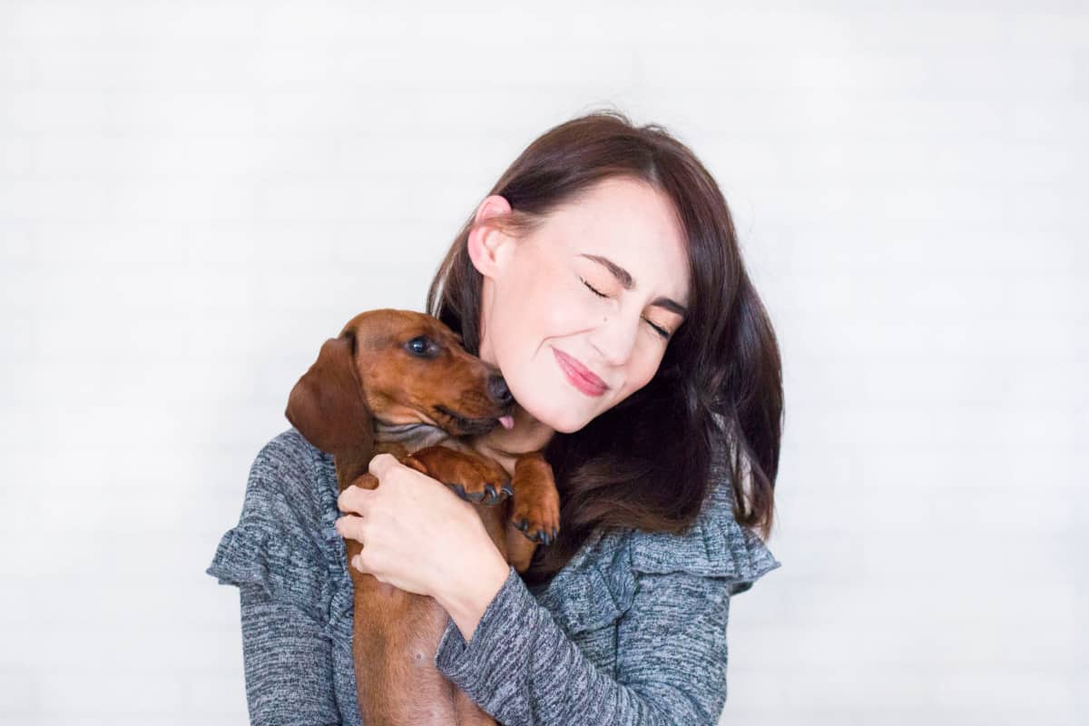 choosing a dog