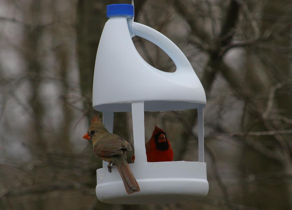 Reuse Single-Use Plastic