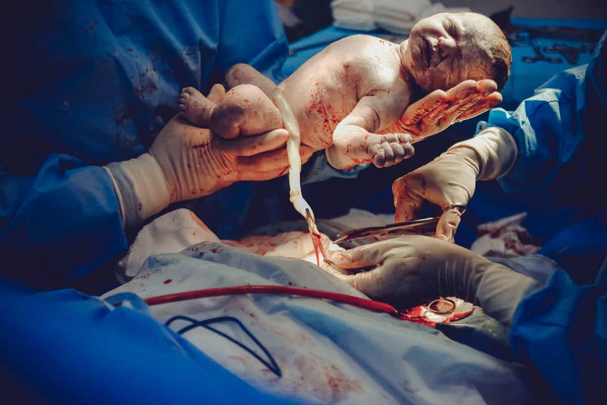 Cord blood banking